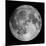 Full Moon-Stocktrek Images-Mounted Photographic Print