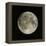 Full Moon-Eckhard Slawik-Framed Premier Image Canvas