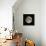 Full Moon-Eckhard Slawik-Framed Premier Image Canvas displayed on a wall