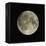 Full Moon-Eckhard Slawik-Framed Premier Image Canvas