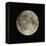 Full Moon-Eckhard Slawik-Framed Premier Image Canvas