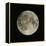 Full Moon-Eckhard Slawik-Framed Premier Image Canvas