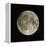 Full Moon-Eckhard Slawik-Framed Premier Image Canvas