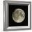 Full Moon-Eckhard Slawik-Framed Premium Photographic Print