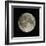 Full Moon-Eckhard Slawik-Framed Premium Photographic Print