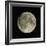 Full Moon-Eckhard Slawik-Framed Premium Photographic Print