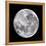 Full Moon-John Sanford-Framed Premier Image Canvas