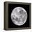 Full Moon-John Sanford-Framed Premier Image Canvas