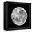 Full Moon-John Sanford-Framed Premier Image Canvas