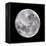 Full Moon-John Sanford-Framed Premier Image Canvas