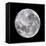 Full Moon-John Sanford-Framed Premier Image Canvas