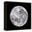 Full Moon-John Sanford-Framed Premier Image Canvas