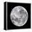 Full Moon-John Sanford-Framed Premier Image Canvas