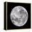 Full Moon-John Sanford-Framed Premier Image Canvas