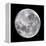 Full Moon-John Sanford-Framed Premier Image Canvas