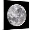 Full Moon-John Sanford-Mounted Premium Photographic Print