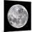 Full Moon-John Sanford-Mounted Premium Photographic Print