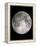 Full Moon-John Sanford-Framed Premier Image Canvas