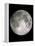 Full Moon-John Sanford-Framed Premier Image Canvas