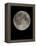 Full Moon-Eckhard Slawik-Framed Premier Image Canvas