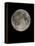 Full Moon-Eckhard Slawik-Framed Premier Image Canvas