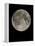 Full Moon-Eckhard Slawik-Framed Premier Image Canvas