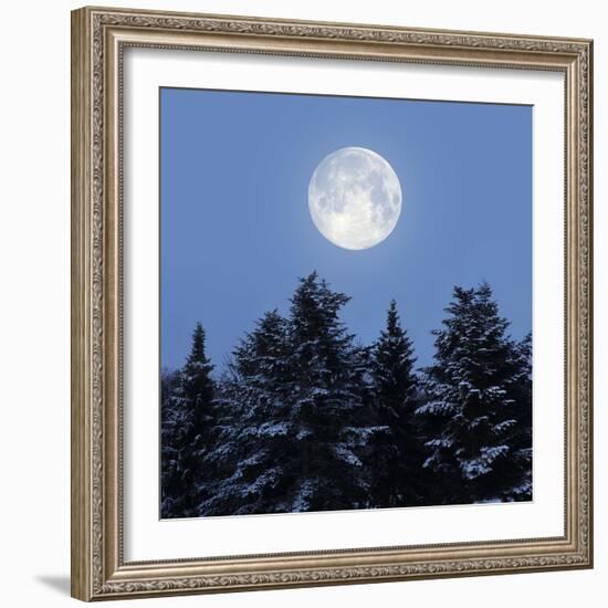 Full Moon-Detlev Van Ravenswaay-Framed Premium Photographic Print