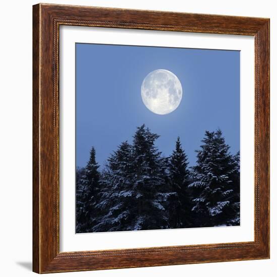 Full Moon-Detlev Van Ravenswaay-Framed Premium Photographic Print