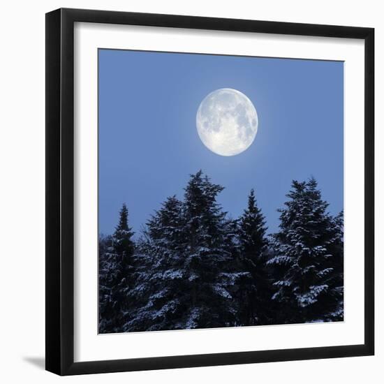 Full Moon-Detlev Van Ravenswaay-Framed Premium Photographic Print