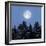 Full Moon-Detlev Van Ravenswaay-Framed Premium Photographic Print