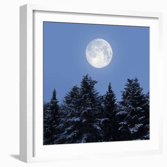 Full Moon-Detlev Van Ravenswaay-Framed Premium Photographic Print