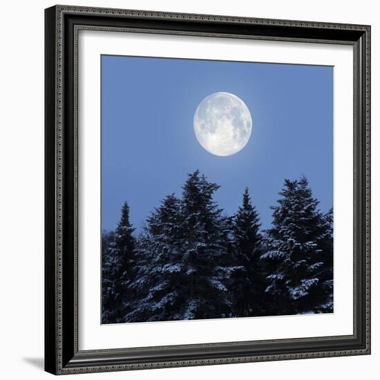 Full Moon-Detlev Van Ravenswaay-Framed Premium Photographic Print