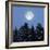 Full Moon-Detlev Van Ravenswaay-Framed Premium Photographic Print