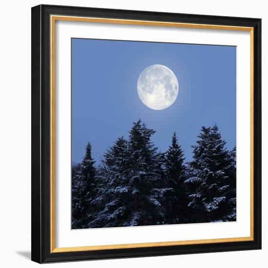 Full Moon-Detlev Van Ravenswaay-Framed Premium Photographic Print