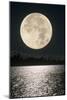 Full Moon-David Nunuk-Mounted Photographic Print