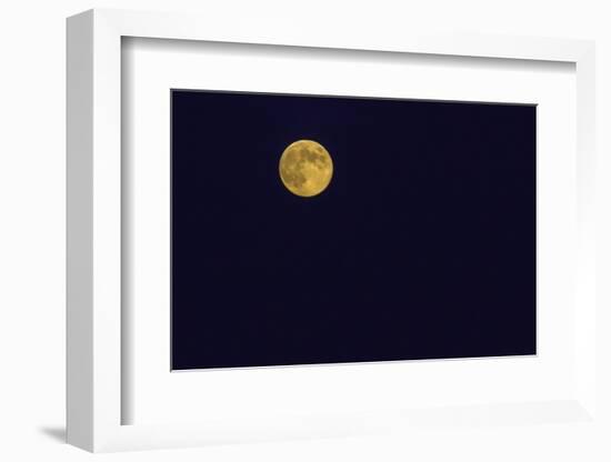 Full Moon-Gary Carter-Framed Photographic Print