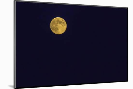 Full Moon-Gary Carter-Mounted Photographic Print