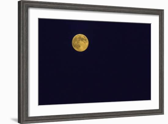 Full Moon-Gary Carter-Framed Photographic Print