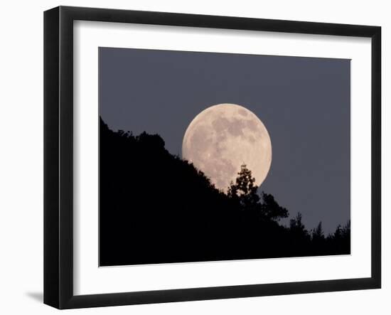 Full Moon-null-Framed Photographic Print