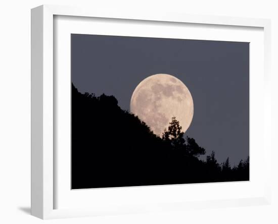 Full Moon-null-Framed Photographic Print