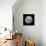 Full Moon-null-Framed Stretched Canvas displayed on a wall