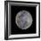 Full Moon-null-Framed Photographic Print