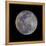 Full Moon-null-Framed Stretched Canvas