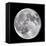 Full Moon-John Sanford-Framed Premier Image Canvas