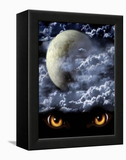 Full Moon-frenta-Framed Stretched Canvas