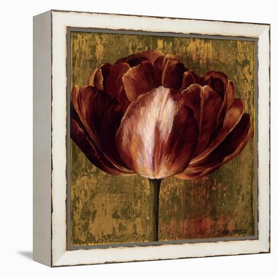 Full of Life I-Linda Thompson-Framed Stretched Canvas