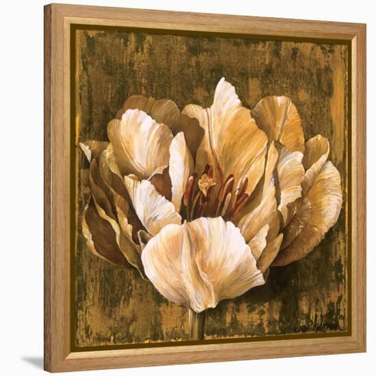 Full of Life II-Linda Thompson-Framed Stretched Canvas