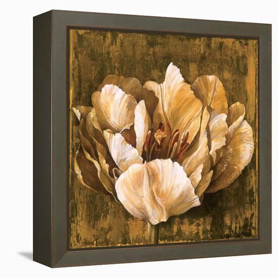 Full of Life II-Linda Thompson-Framed Stretched Canvas