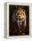 Full on View of a Saber-Toothed Tiger-null-Framed Stretched Canvas