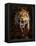Full on View of a Saber-Toothed Tiger-null-Framed Stretched Canvas